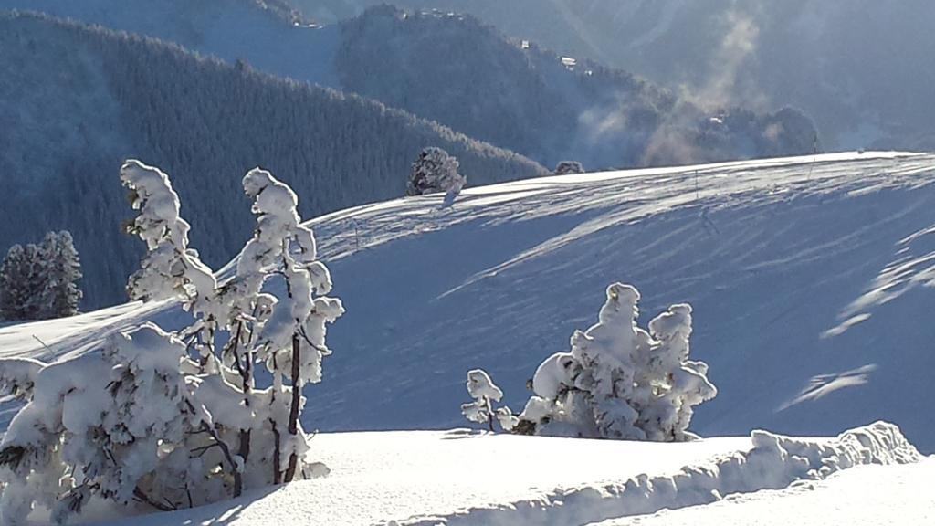 Landhaus Tirol Zellberg Екстериор снимка