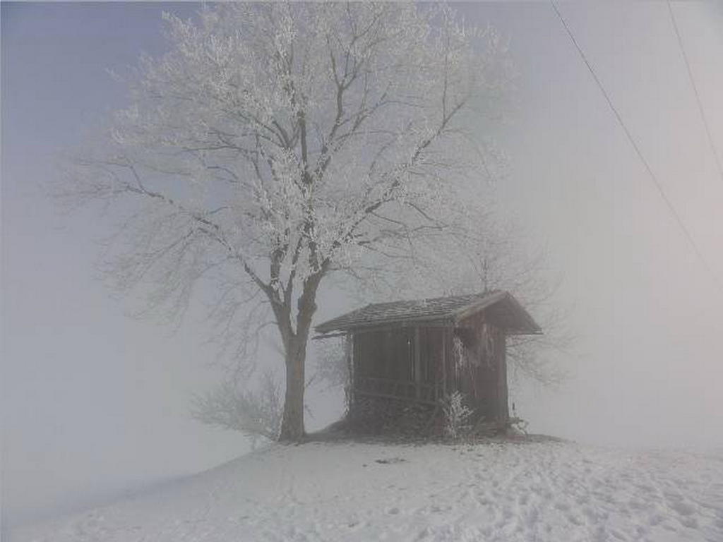 Landhaus Tirol Zellberg Екстериор снимка